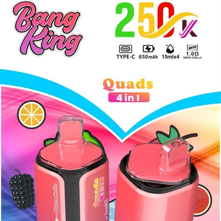 BANG KING Quads 250K 4IN1 factory BANG KING Quads 250K 4IN1 factory